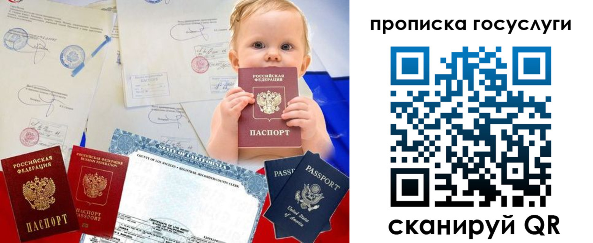 прописка регистрация в Александрове